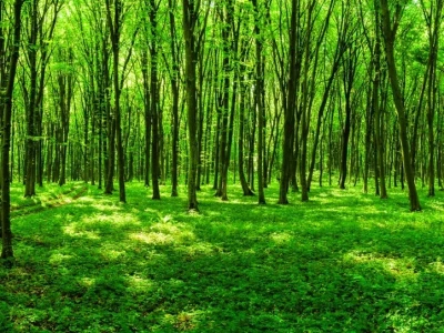 Green Bay's Tech Renaissance: Why This New Startup Accelerator is a Game-Changer